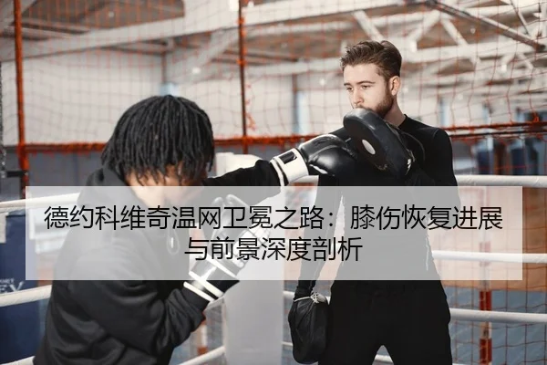 德约科维奇温网卫冕之路：膝伤恢复进展与前景深度剖析